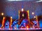 Galerie zih_1-319.jpg anzeigen.