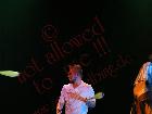 Galerie PD184-00090.jpg anzeigen.