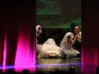 Galerie PD249-0390.jpg anzeigen.