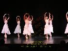 Galerie PD265-0370.jpg anzeigen.