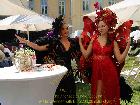 Galerie VD613-0145.jpg anzeigen.